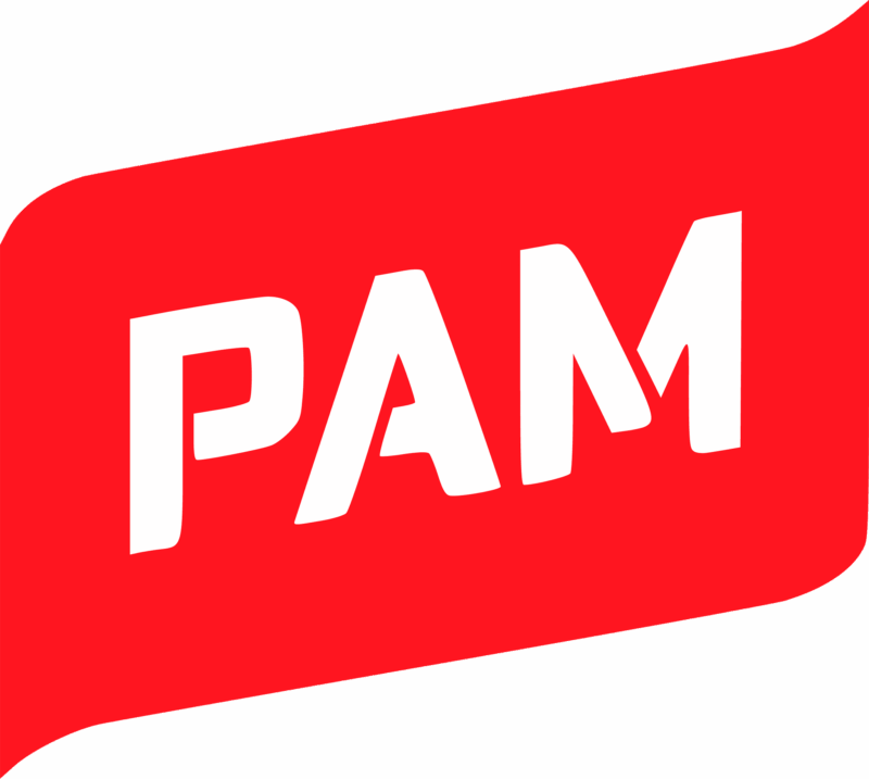 PAMin logo.