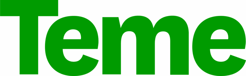 Temen logo.